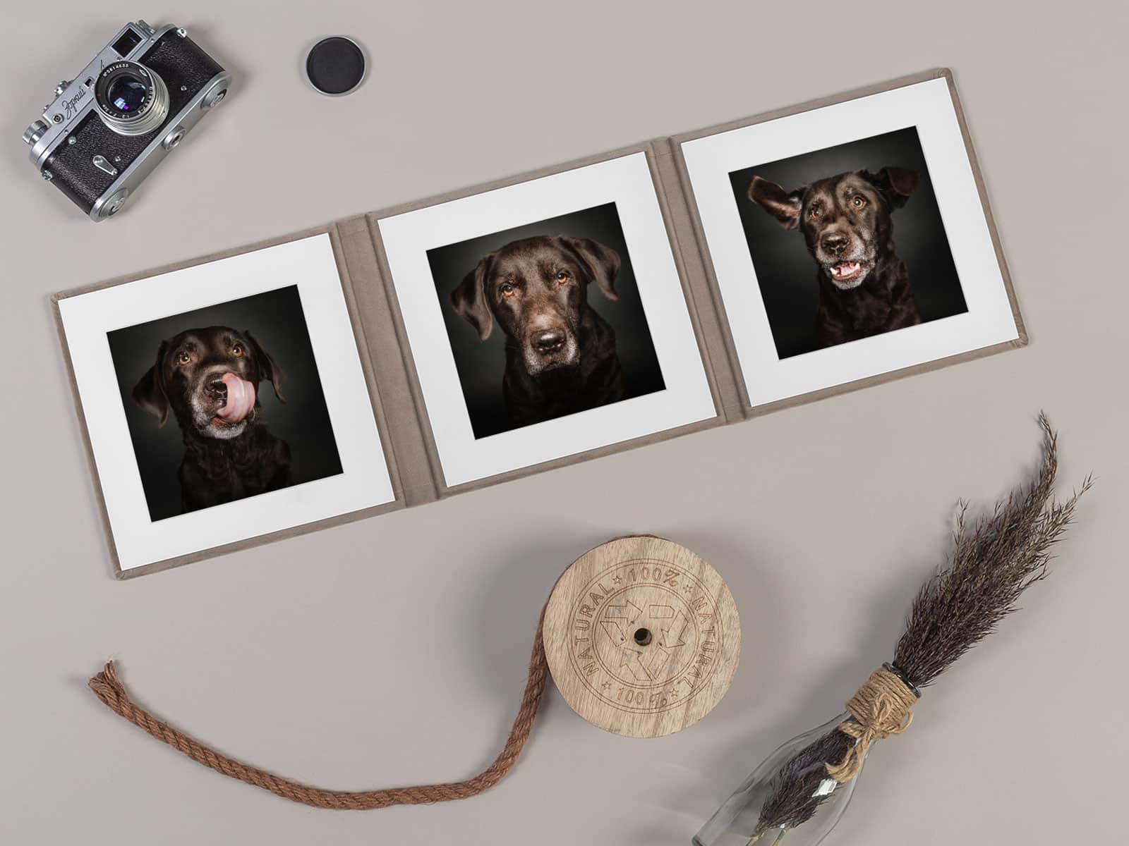 Fotoprodukte_Hundeshooting